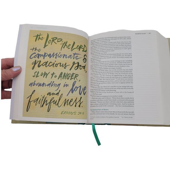 NIV Beautiful Word Bible Large Print with Colorful Illustrations - Picture 8 of 9
